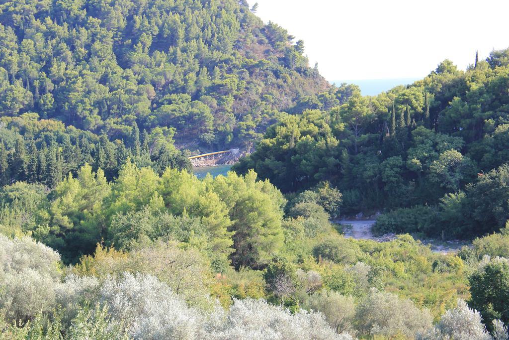 4M Apartments Petrovac Værelse billede